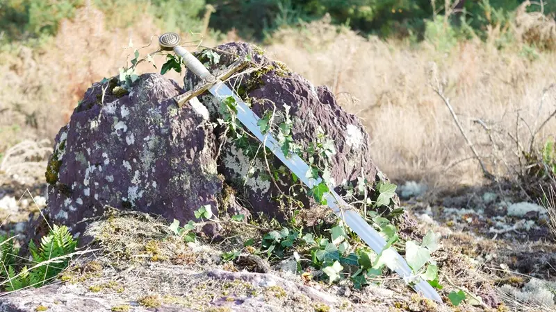 journée-en-broceliande-flore-et-legendes_contes_DestinationBroceliande