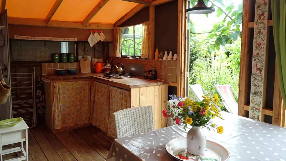 Le Petit Poisson Vert