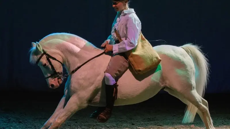 PHOTO-2026-SITE-THEATRE-EQUESTRE-DE-BRETAGNE--6-
