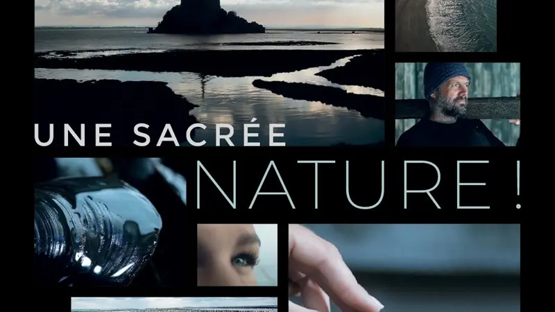 Comité AOP Moules de bouchot de la Baie du Mont-Saint-Michel