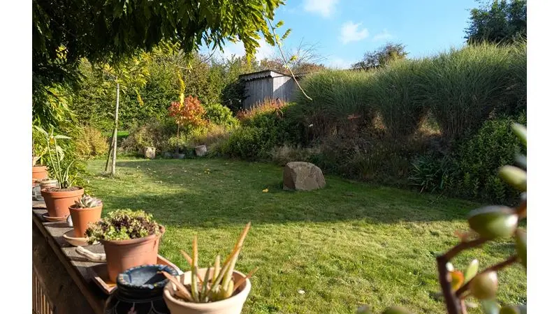 L'assiette dans le jardin
