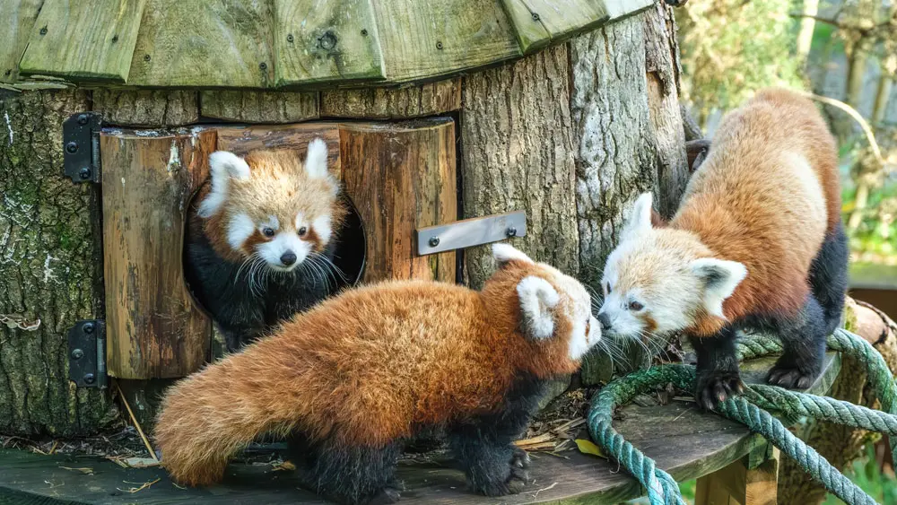 Les Terres de Nataé