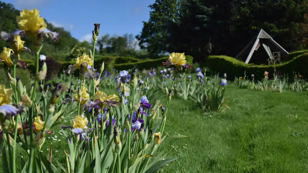 Les Jardins de Brocéliande