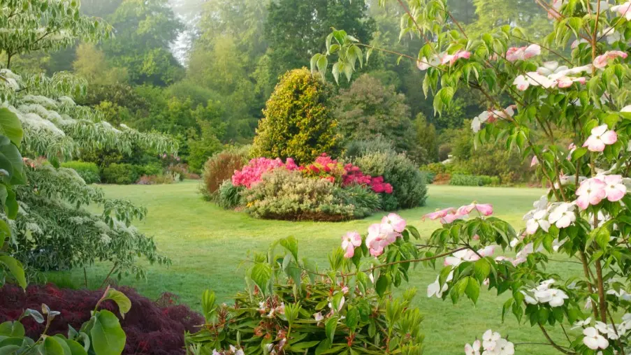 Parc Botanique de Haute Bretagne - Jardin de Dionysos