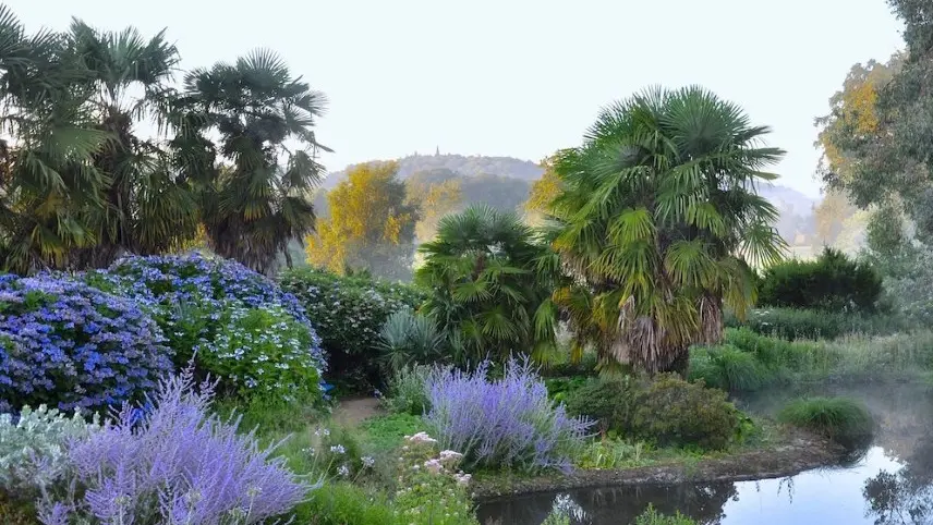 Parc Botanique de Haute Bretagne - Jardin de la source bleue