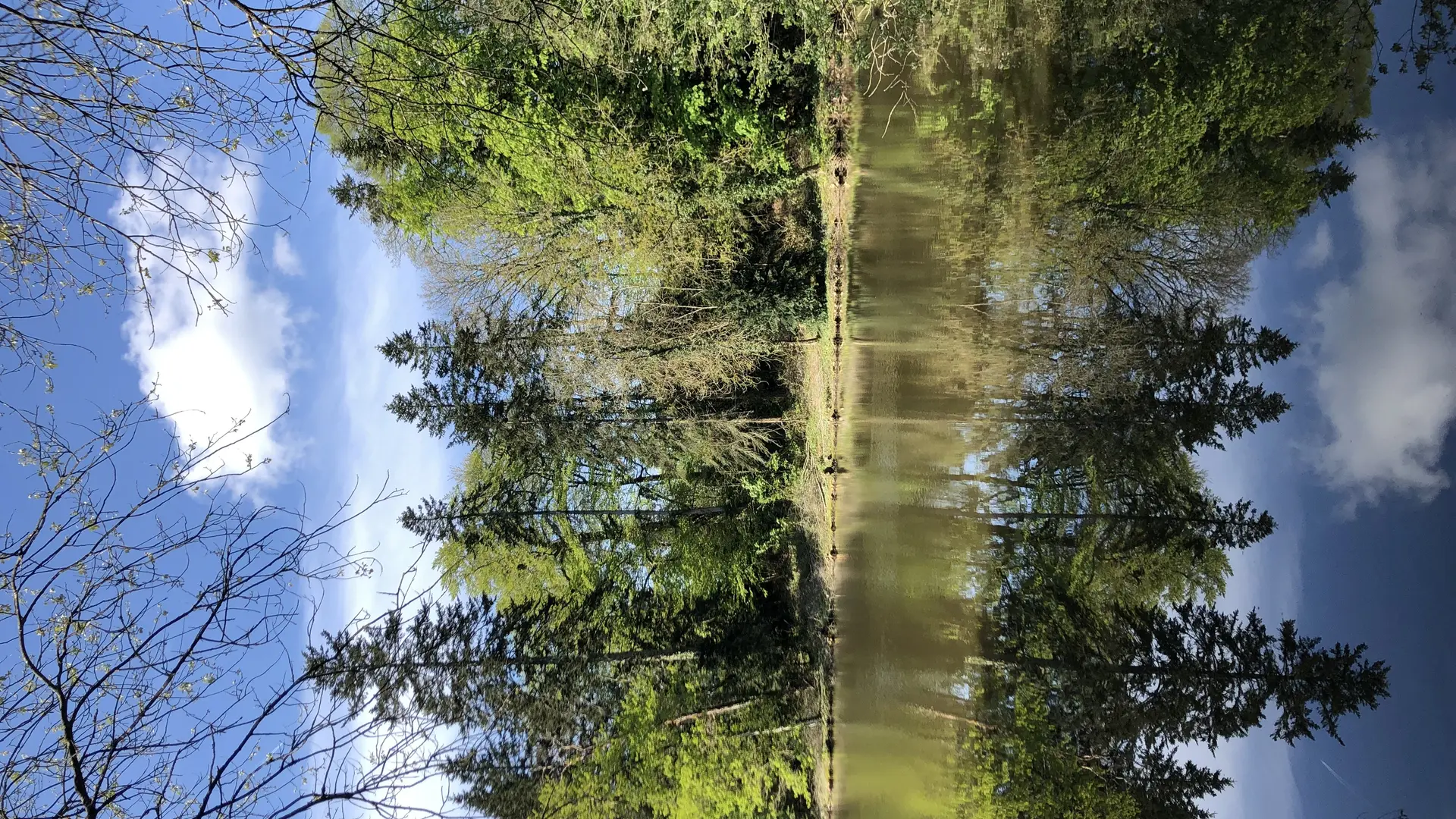 Parc de la Tour Duguesclin