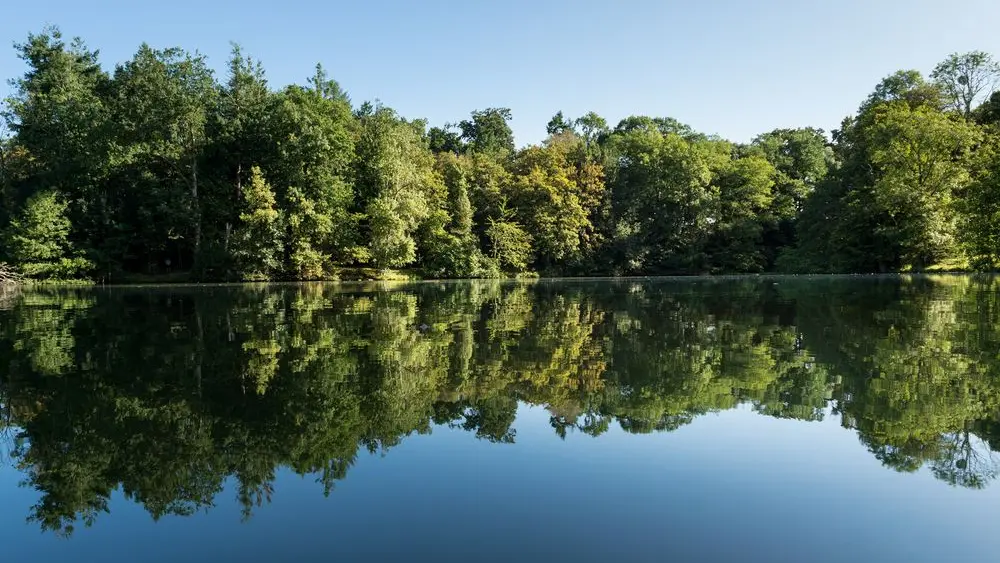Parc de la Tour du Guesclin