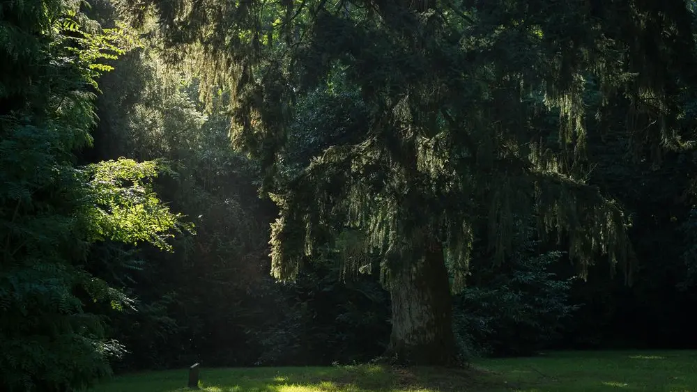 Parc de la Tour du Guesclin