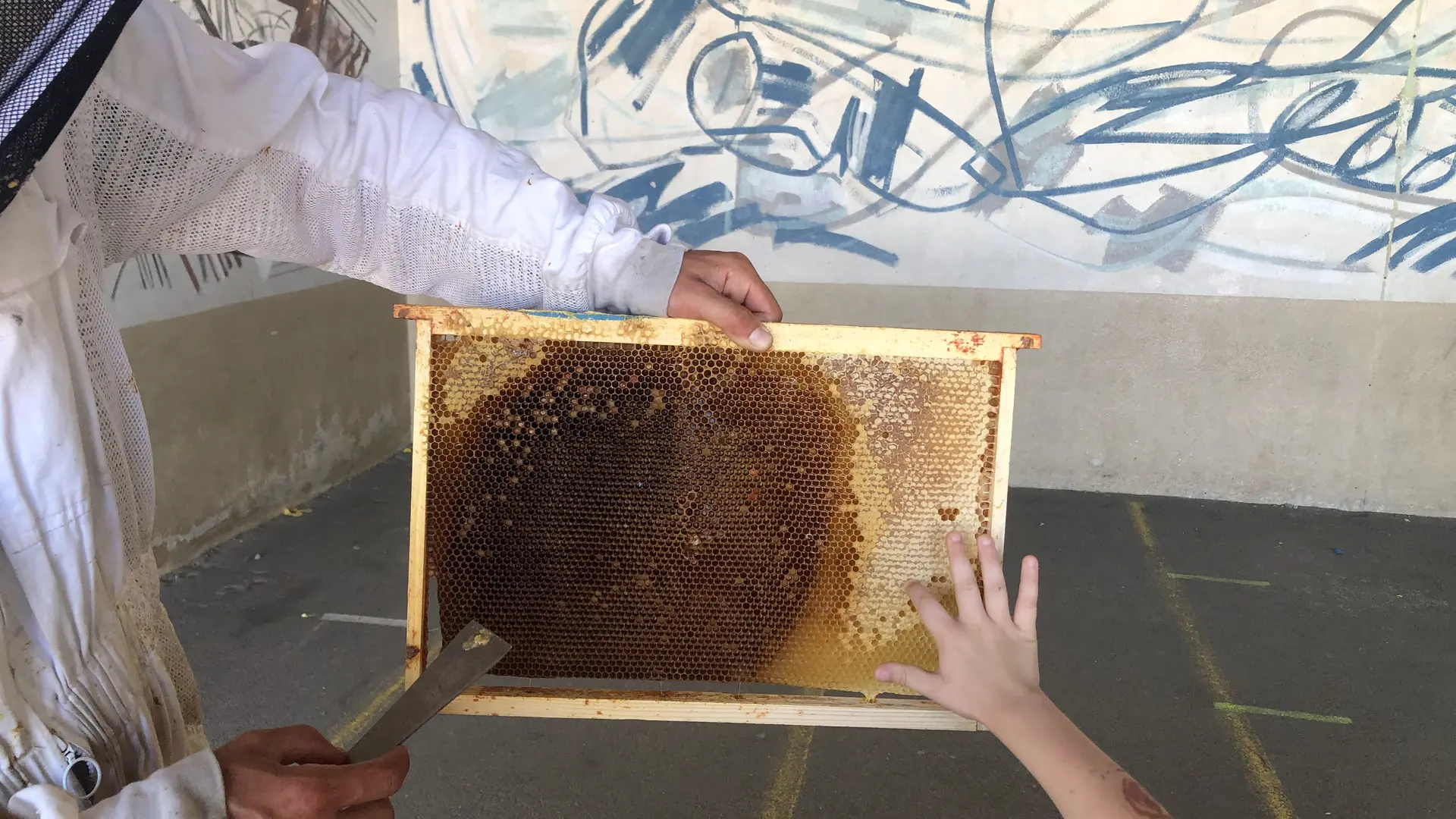 Melli'Malo - Miniac-Morvan