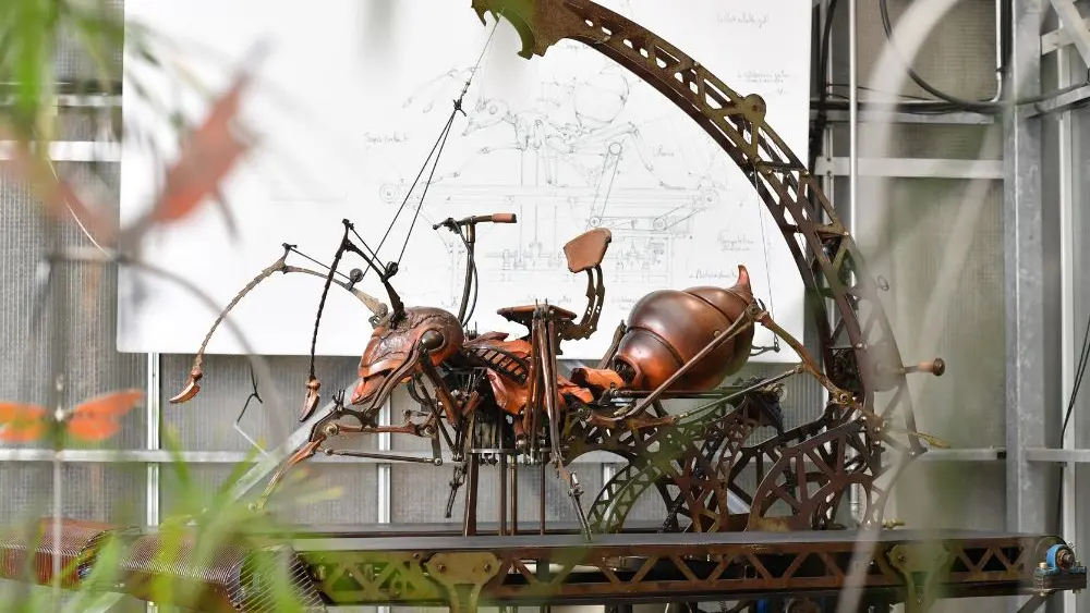 Les Machines de l’île