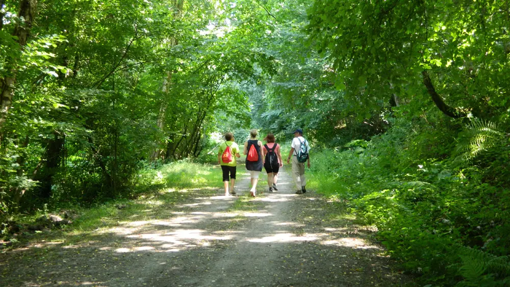 Photo-couverture_©OT-Pontivy-Communauté_Circuit-Vallées-Plurit-et-Resto