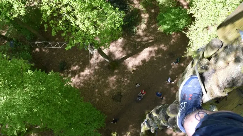 Vue depuis la cime des arbres