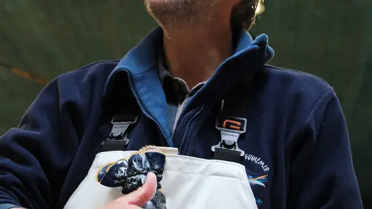 Poissonnerie Guinemer