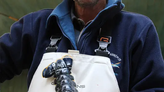 Poissonnerie Guinemer