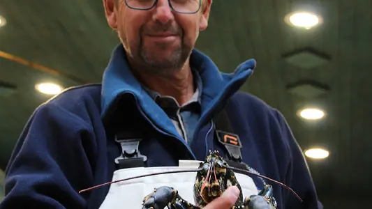 Poissonnerie Guinemer - Saint-Malo