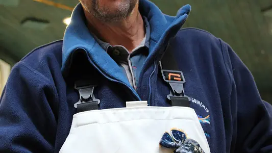 Poissonnerie Guinemer