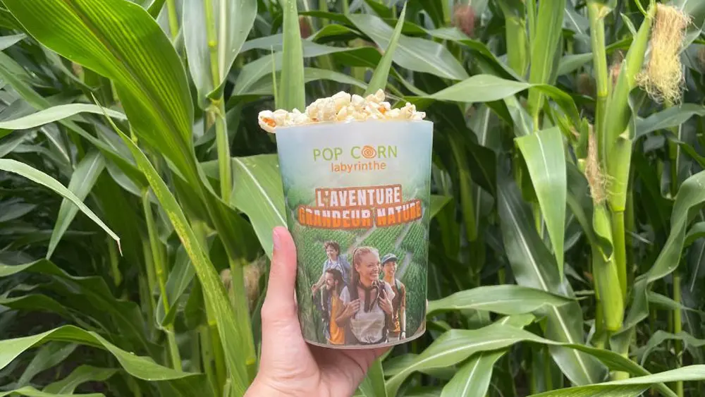 Pop Corn Labyrinthe Guérande