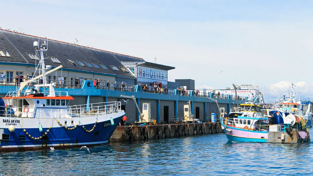 Haliotika - La Cité de la Pêche