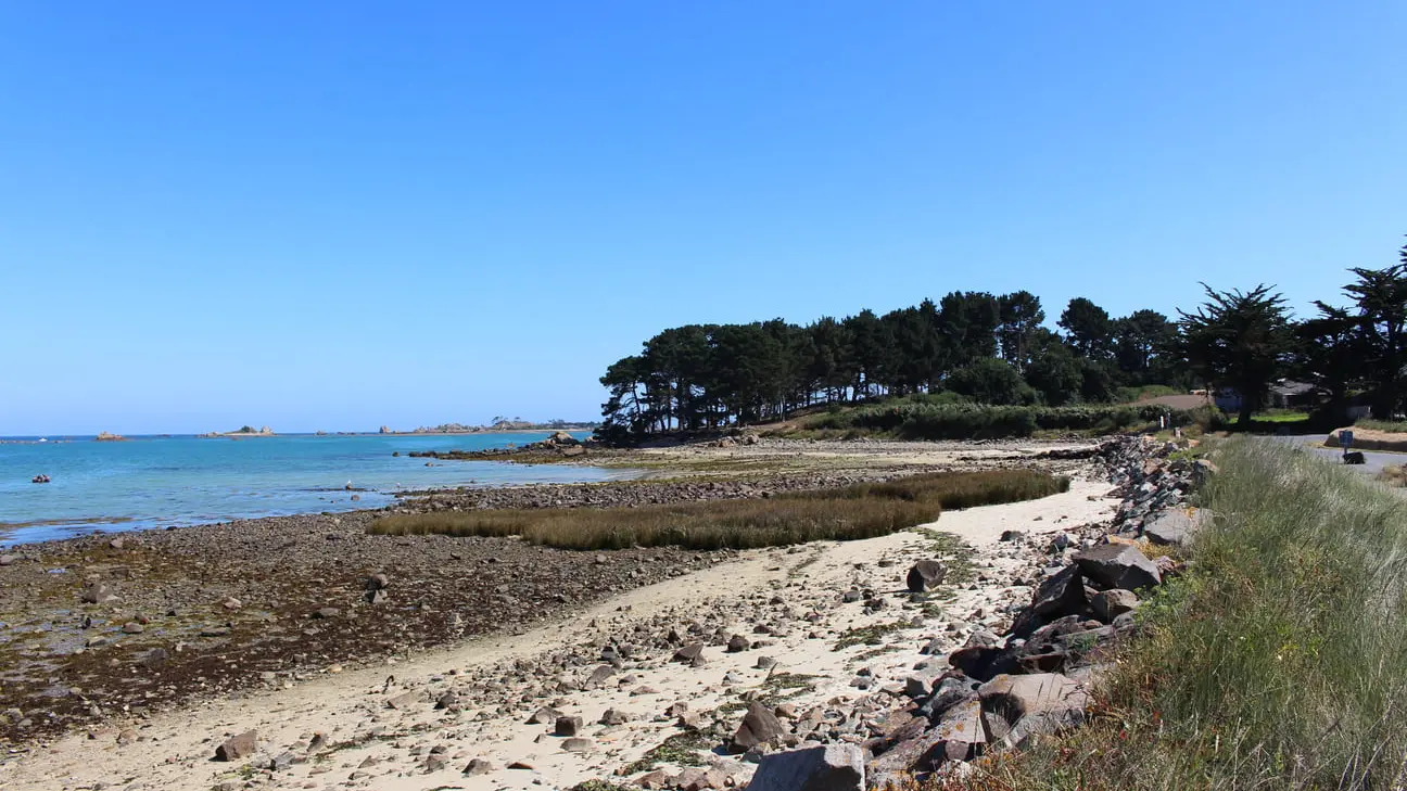Plage de Gouermel - Plougrescant (13)