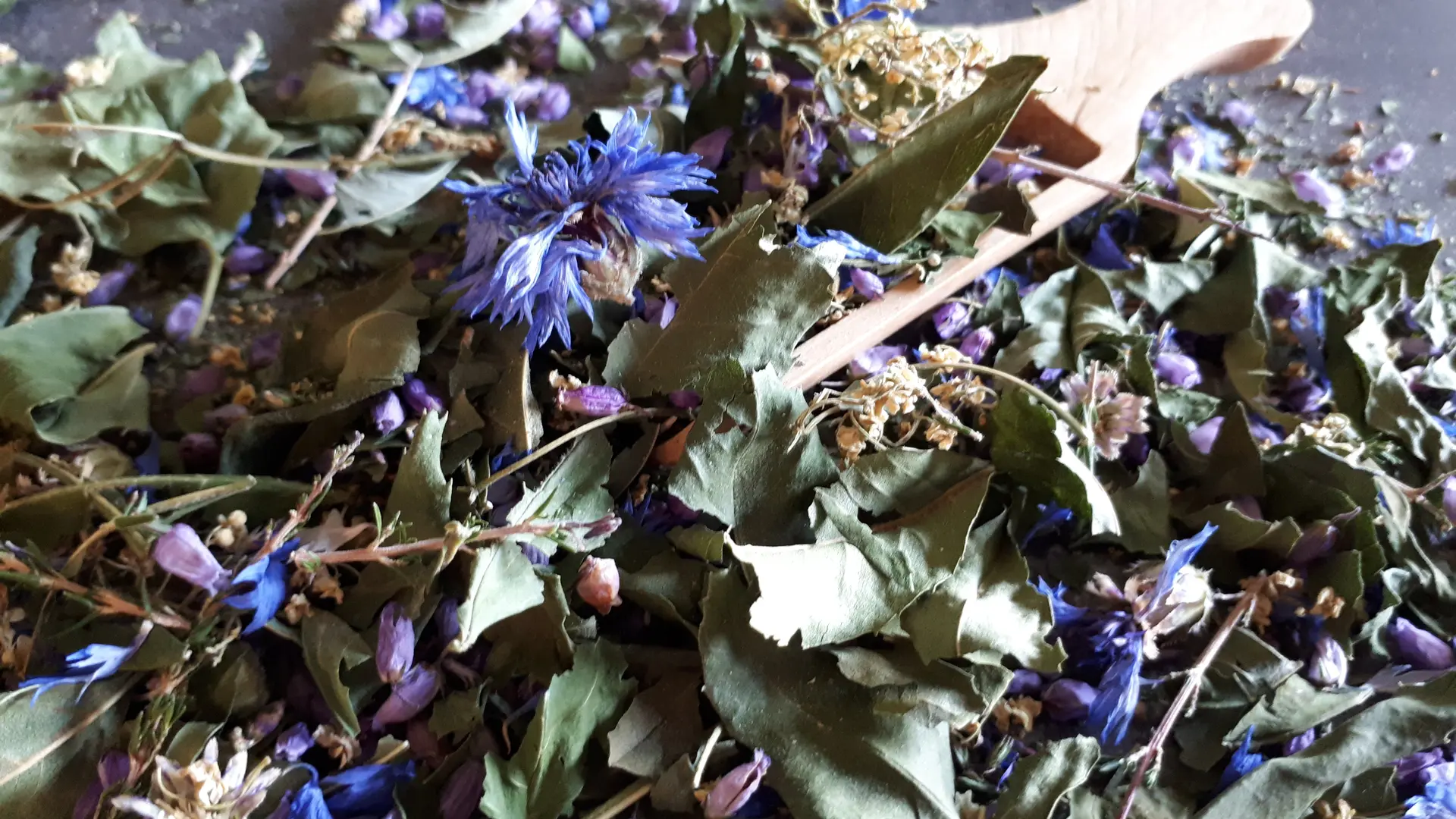 Plantes et fée bénéfique Elixir D. Tox' (4)