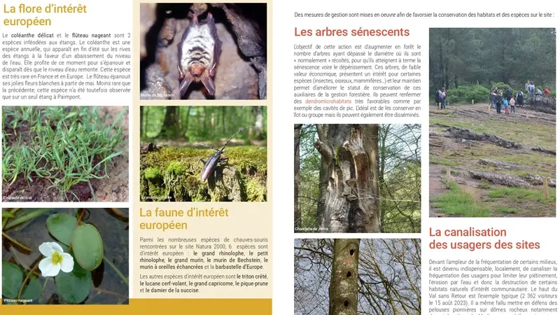 Natura2000_val-sans-retour4_Trehorenteuc_Paimpont_DestinationBroceliande
