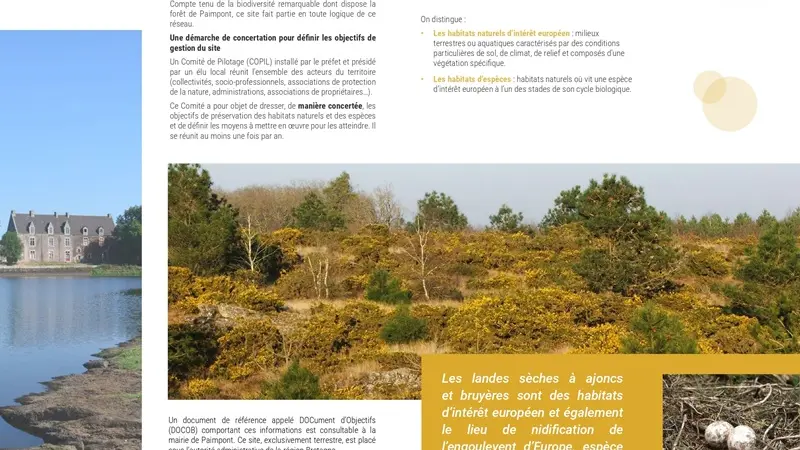 Natura2000_val-sans-retour1_Trehorenteuc_Paimpont_DestinationBroceliande
