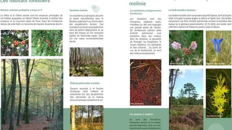Natura2000_val-sans-retour2_Trehorenteuc_Paimpont_DestinationBroceliande