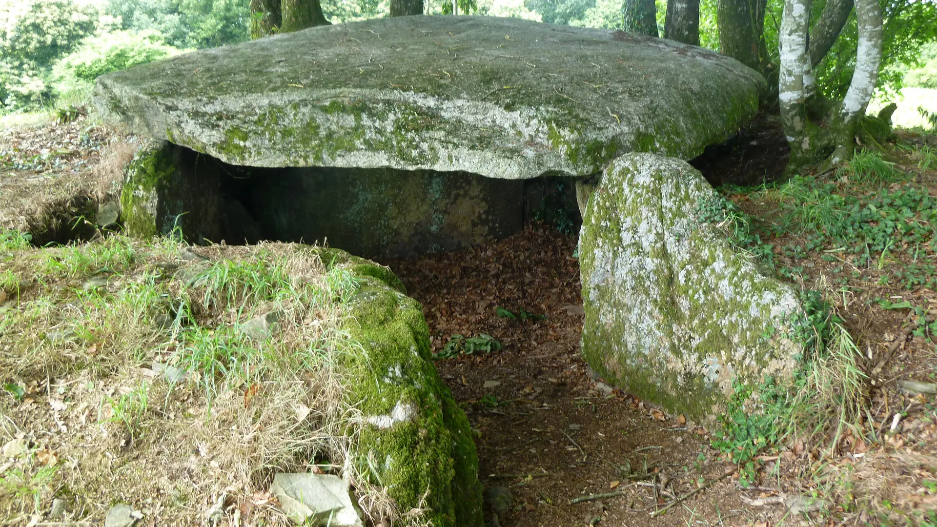 Plumelec Milgourdy©OT CMC
