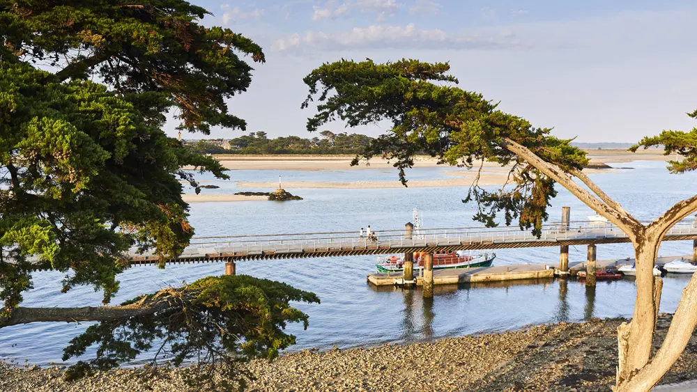 PresquileGuerande2019@alamoureux_MG_8627
