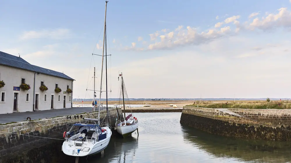 PresquileGuerande2019@alamoureux_MG_8748