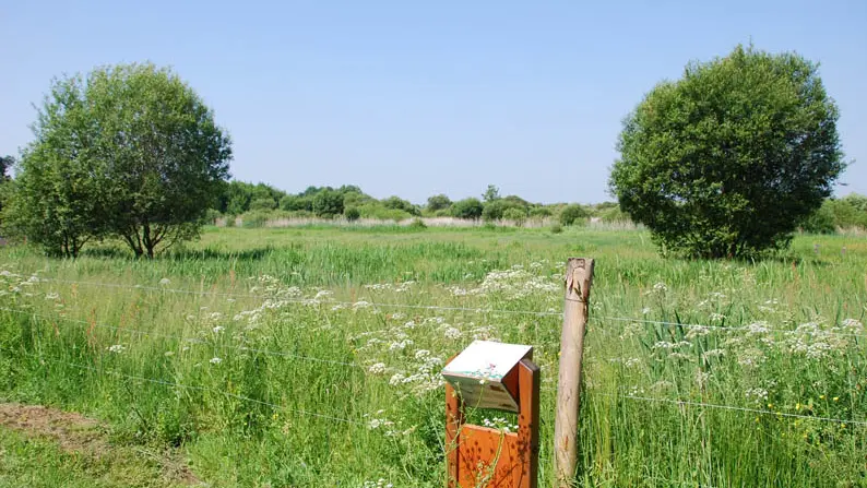 Sentier découverte du Marais de Gannedel