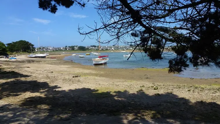 Randonnée Ile Grande Pleumeur Bodou (3)