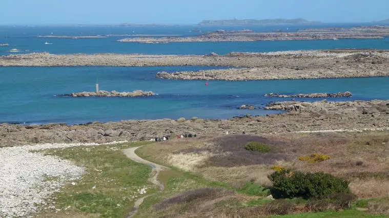 Randonnée Ile Grande Pleumeur Bodou (6)