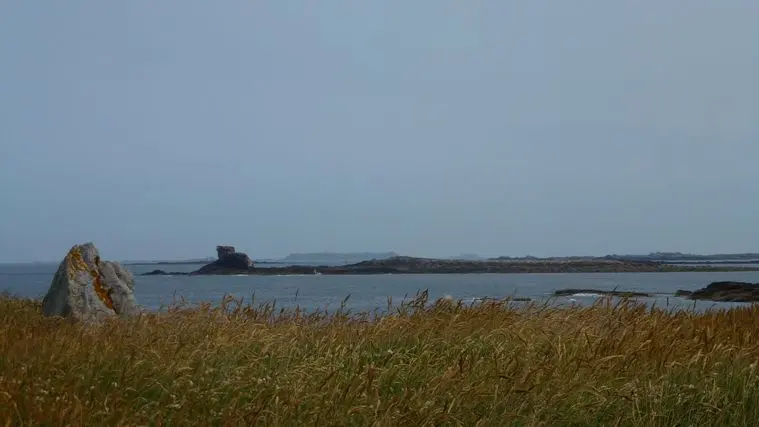 Randonnée Ile Grande Pleumeur Bodou (8)