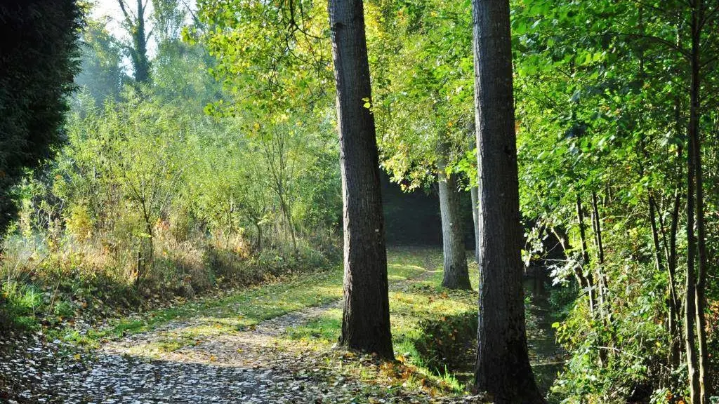 Randonnée pleumeleuc Vaunoise