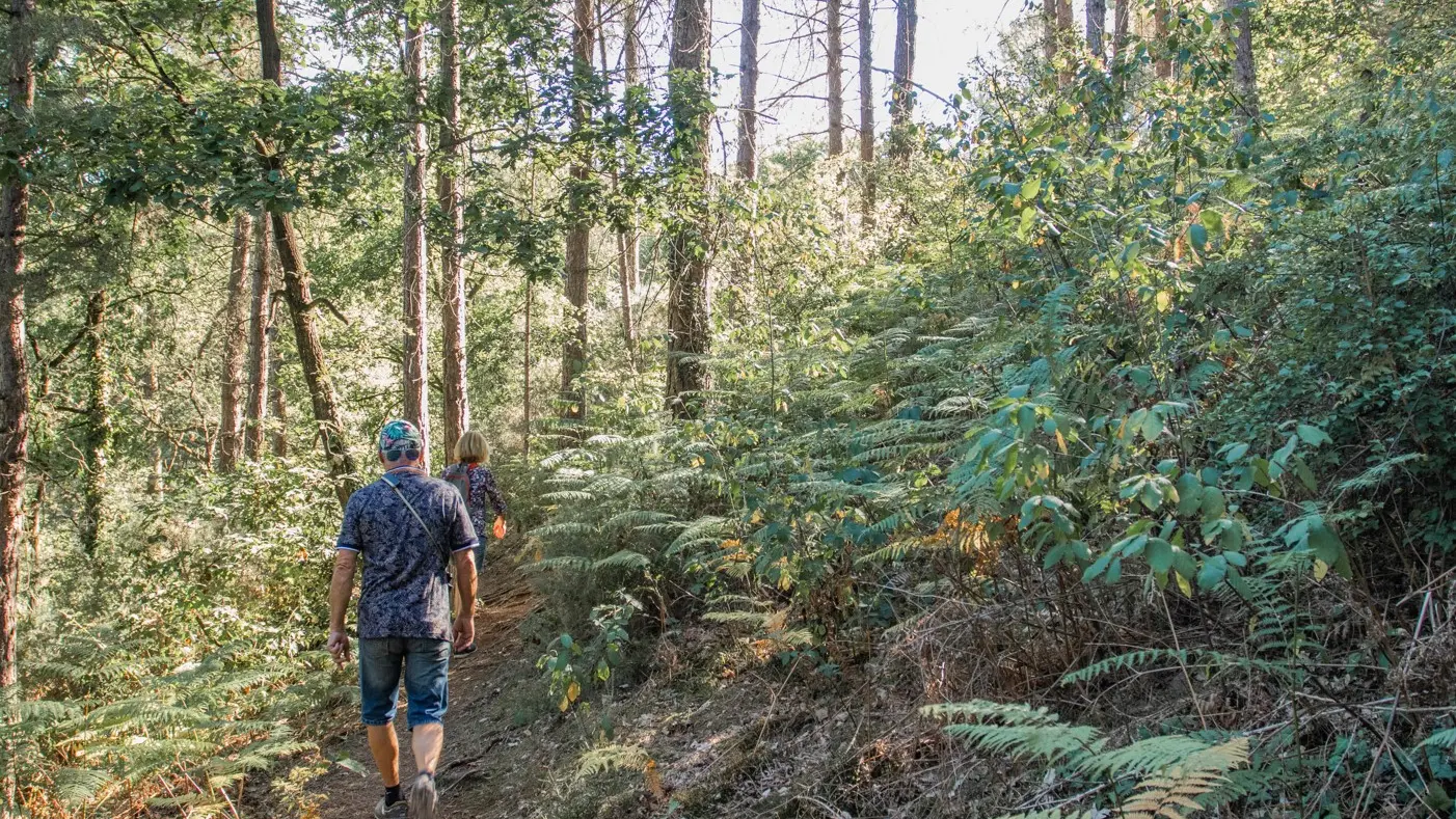 Randonnée vallon de la chambre au Loup Iffendic