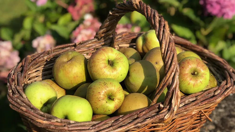 Gîtes Sous Le Phare