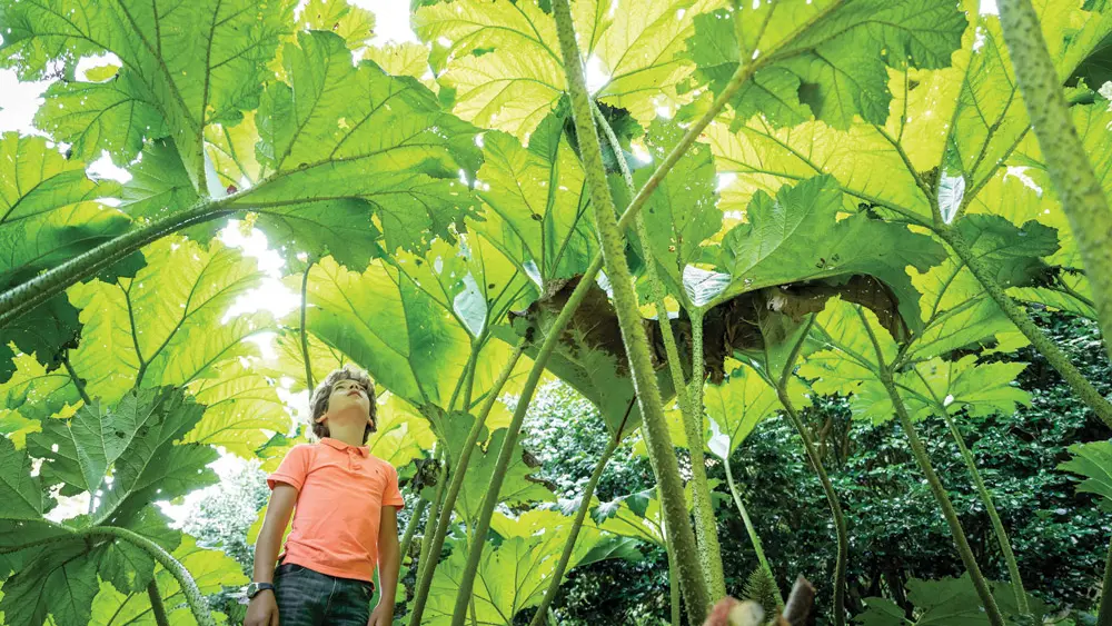 Domaine de Trévarez