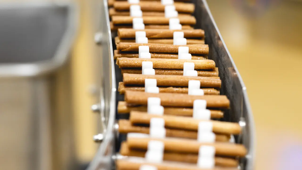 Reportage Gavottes Lanvallay - Julien Mota-14