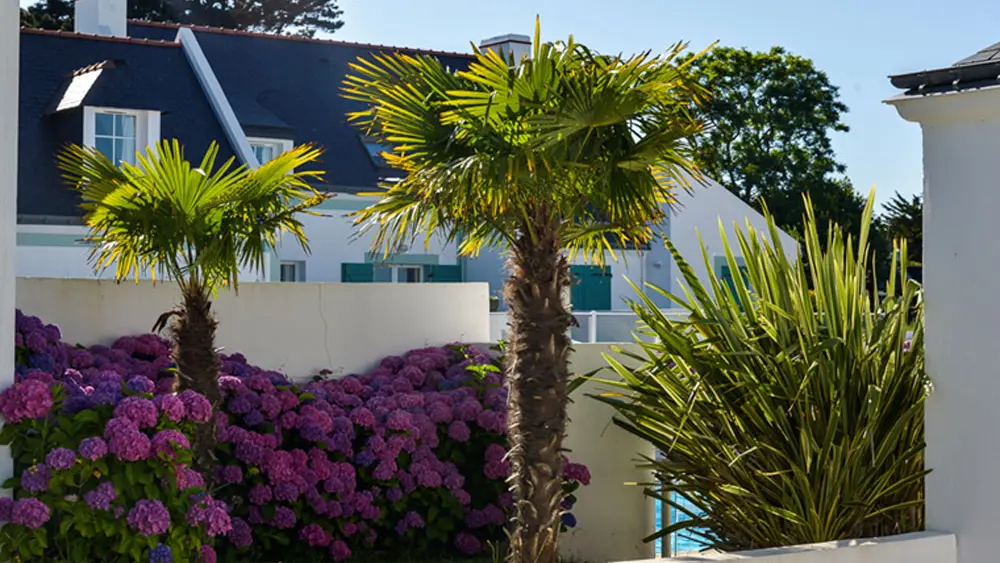 Résidence Marie-Galante