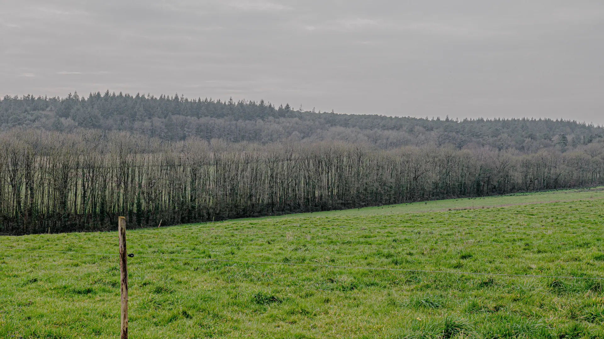 SAINT-GANTON - bourg_madoline bauthamy) (5)