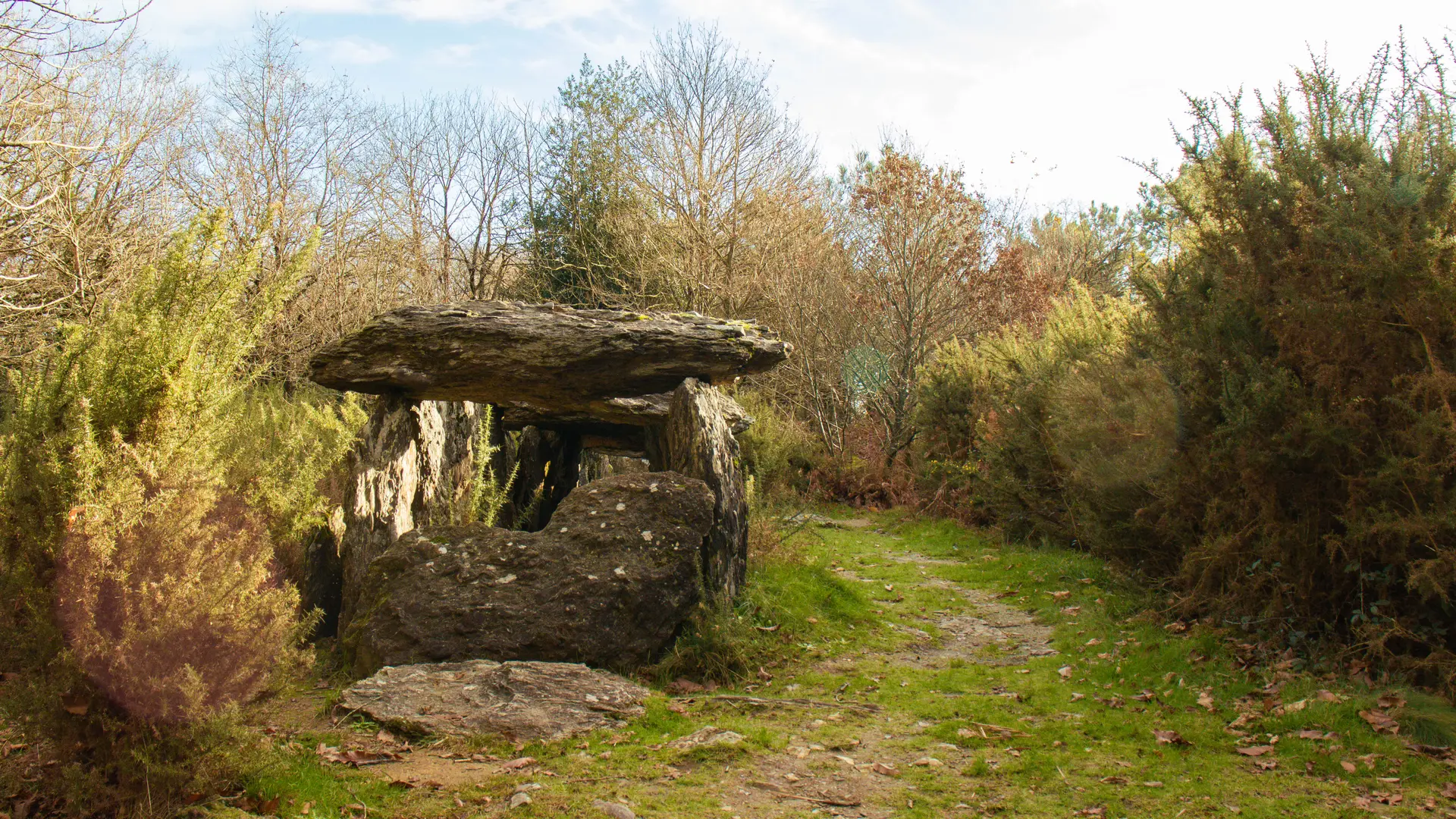 ST-JUST - Dolmen de Tréal- bauthamy madoline (1)