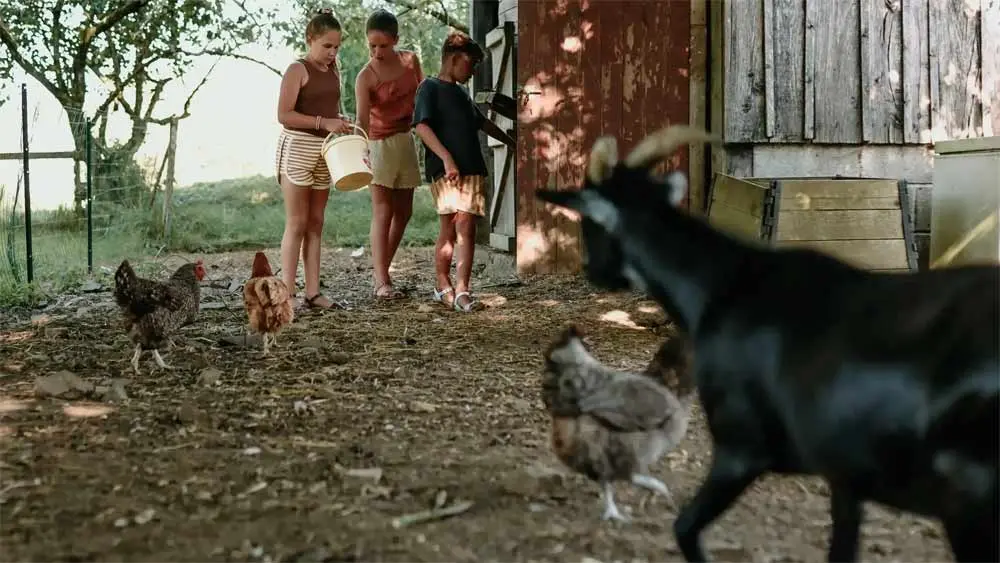 Les Jardins des Coccinelles - Un lit au pré