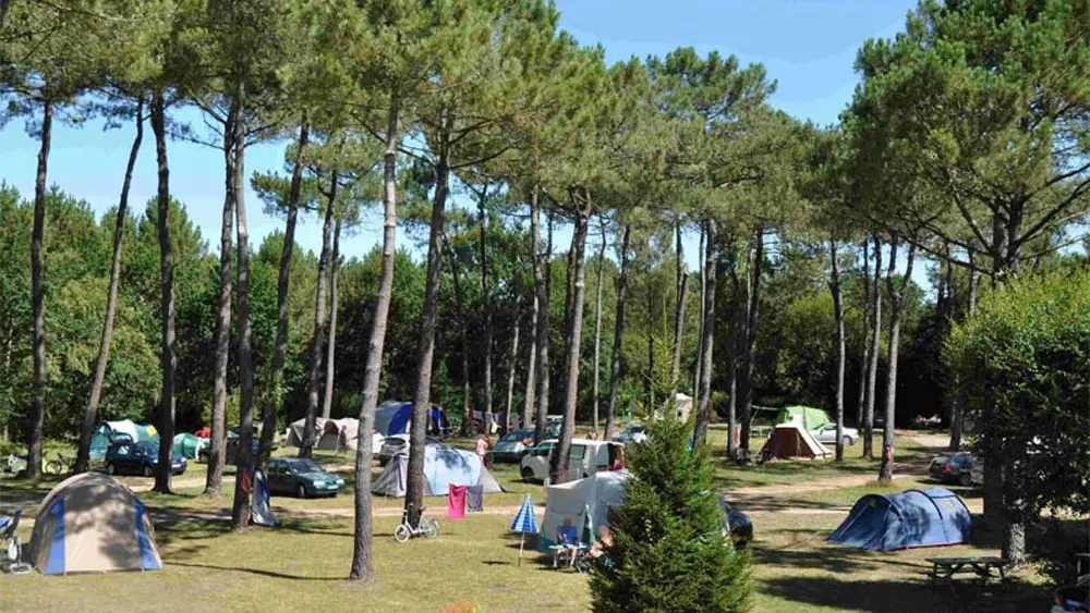 Camping Naturiste CNBS La Pinède