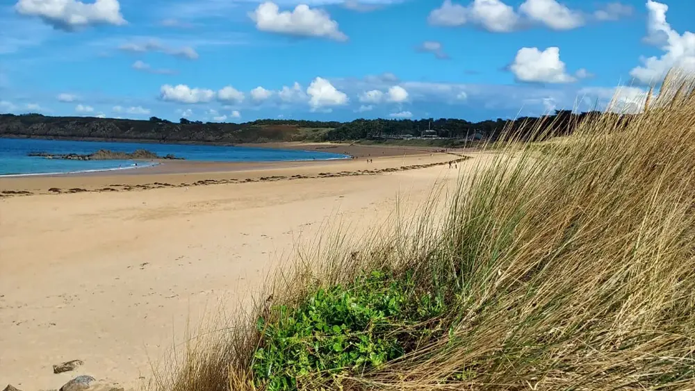 Maison Triton & Porcelaine