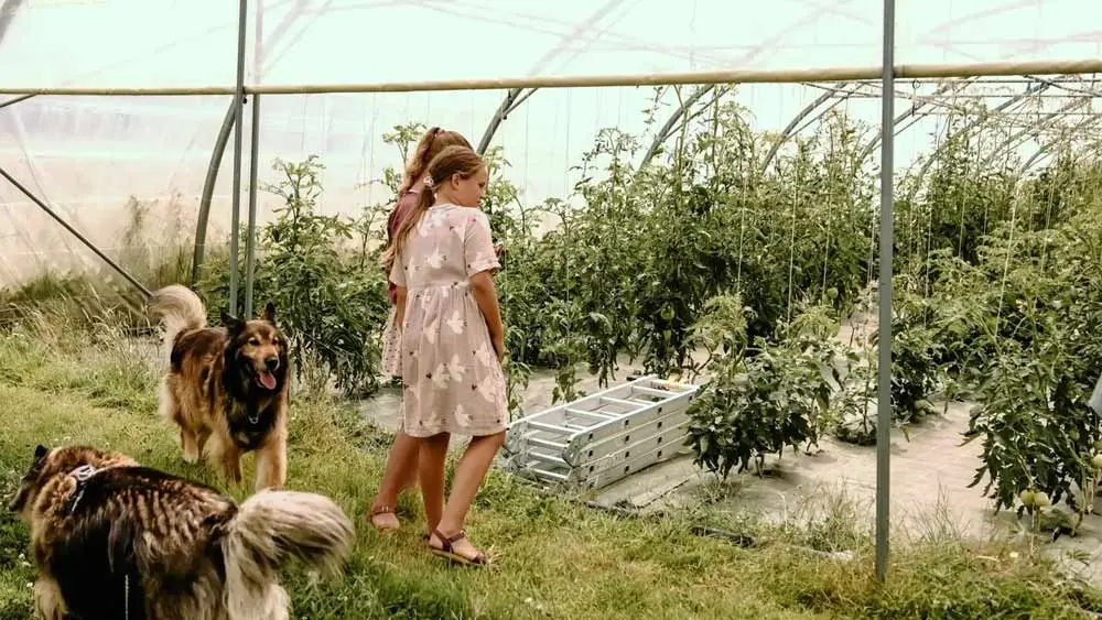 Les Jardins des Coccinelles - Un lit au pré