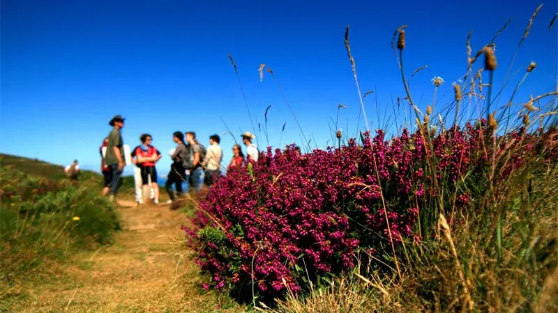Maison des Minéraux