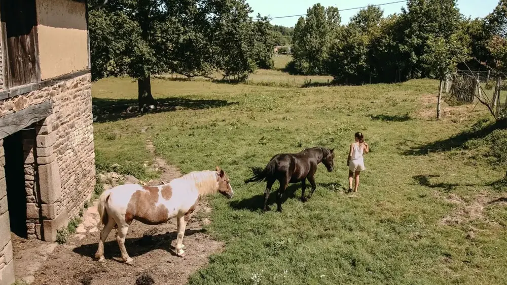 Ô Manoir de Glams - Un Lit au Pré