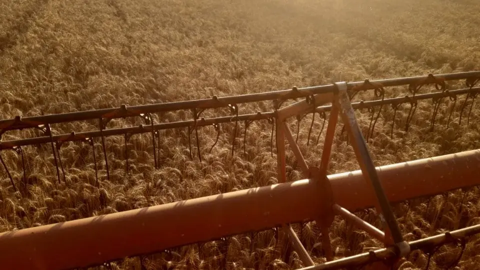 Sacré pain !!! Neulliac