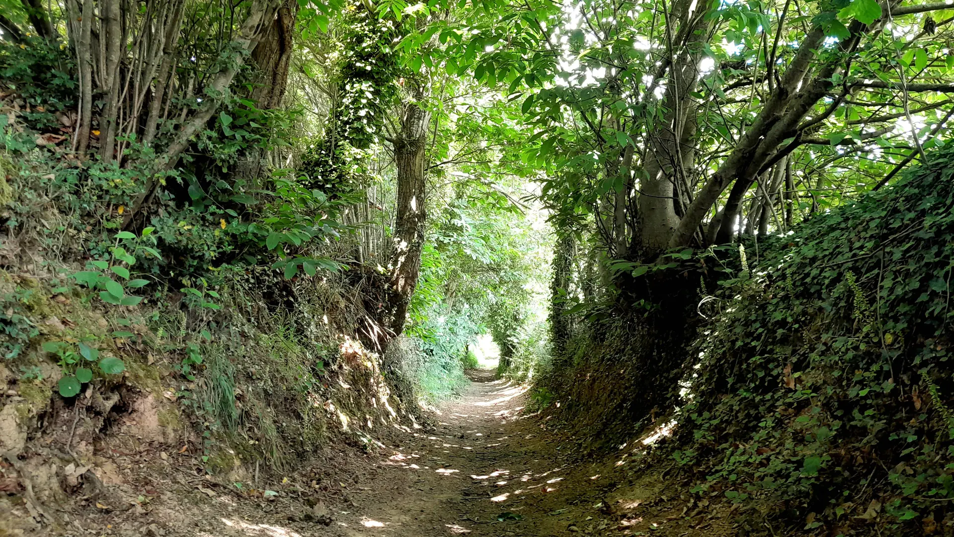 Circuit trail n° 5  Saint-Gonlay